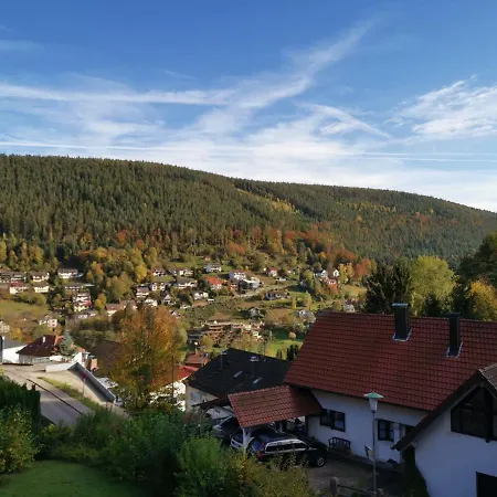 Ferienwohnung Mistral Apartment Bad Wildbad